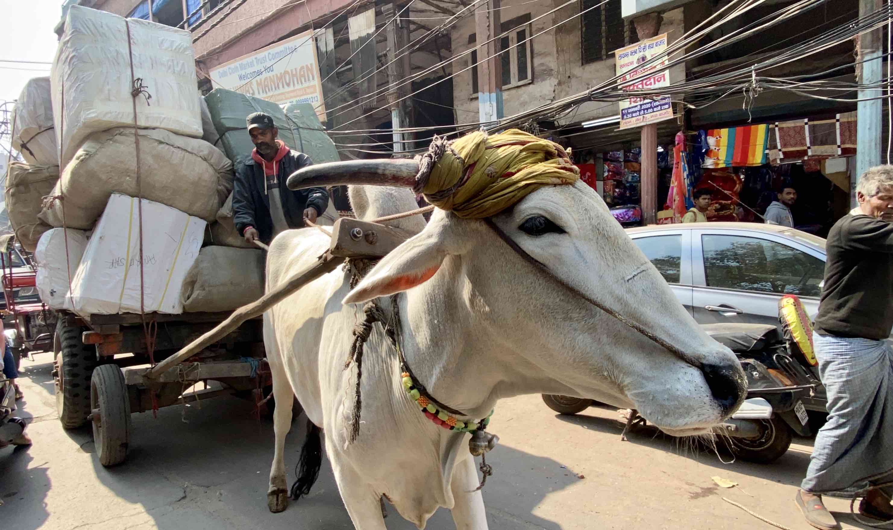 Pourquoi l'Inde ?
